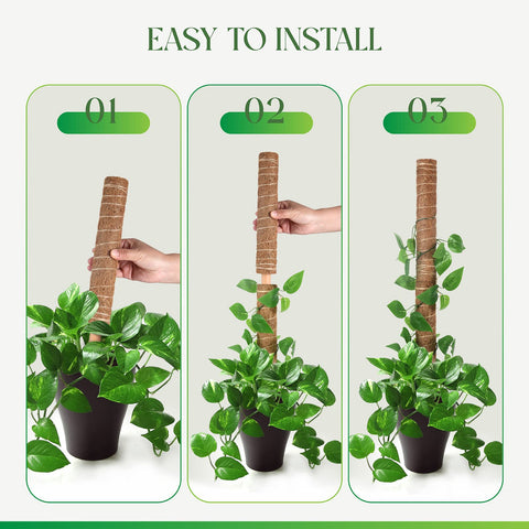 Pisol indoor outdoor plant trellis supports climbing vines and foliage