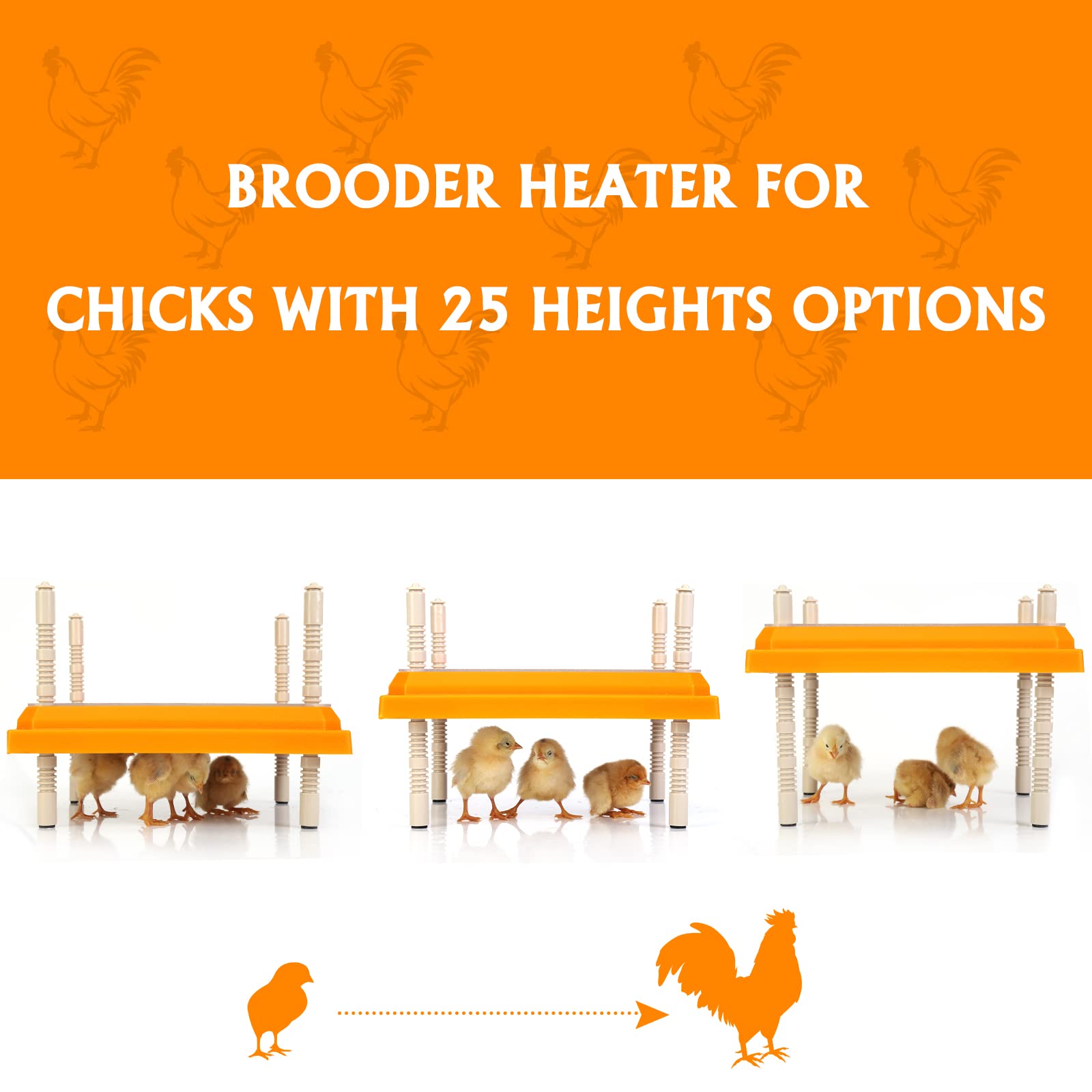 Pitalok ABS body chick warmer sits stably in coop.