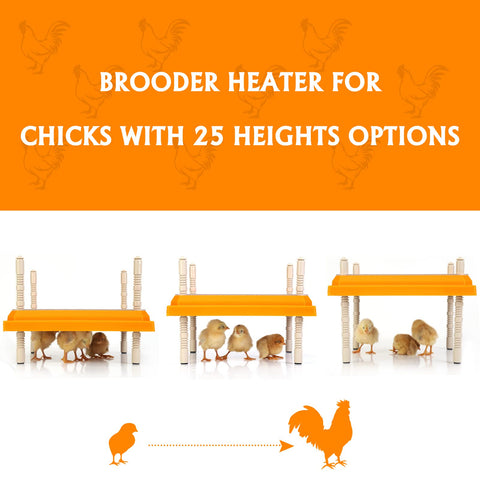 Pitalok ABS body chick warmer sits stably in coop.