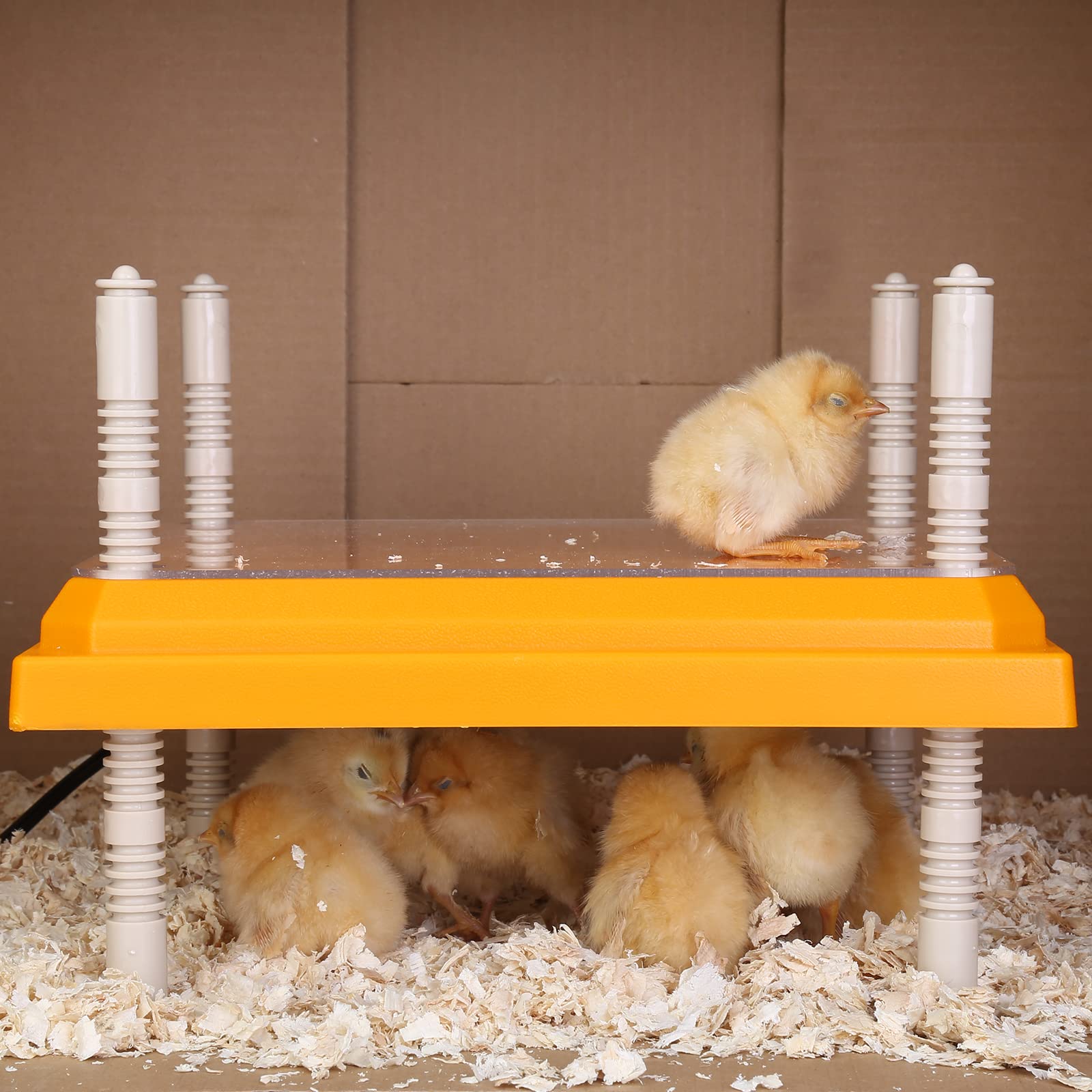 Pitalok brooder heater plate easy assembly for quick setup.