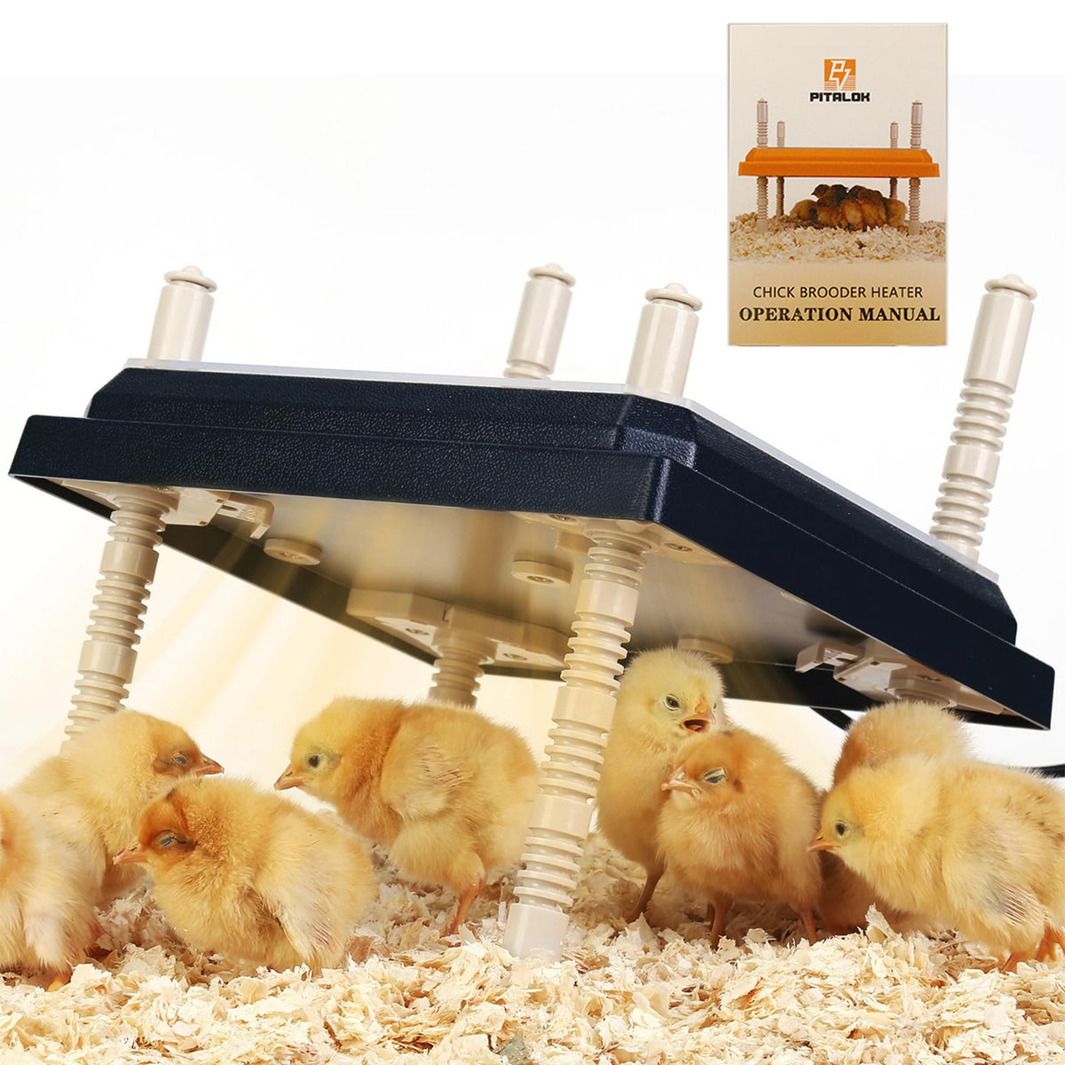 Pitalok brooder heater plate top view delivering even warmth for chicks.