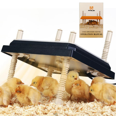 Pitalok brooder heater plate top view delivering even warmth for chicks.