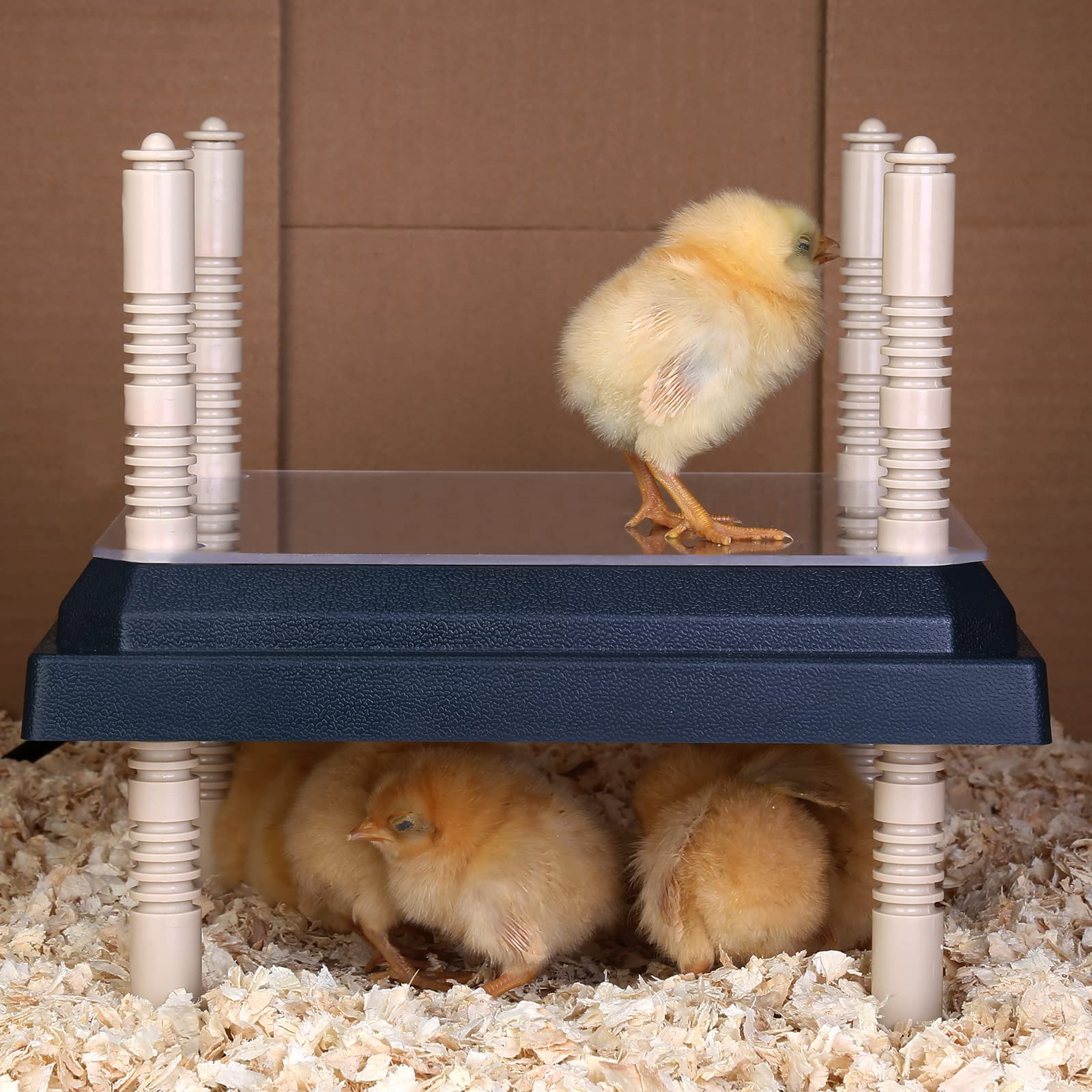 Pitalok energy-saving warmth reduces heating costs while keeping chicks comfortable.