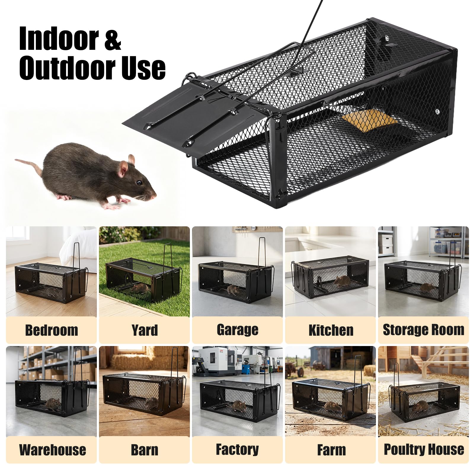 Pivmuth trap suitable for indoors and outdoors in any weather