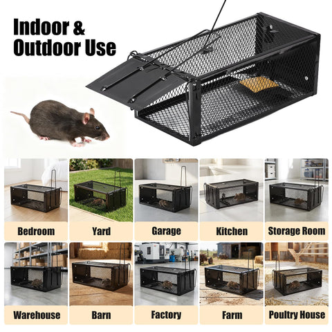 Pivmuth trap suitable for indoors and outdoors in any weather