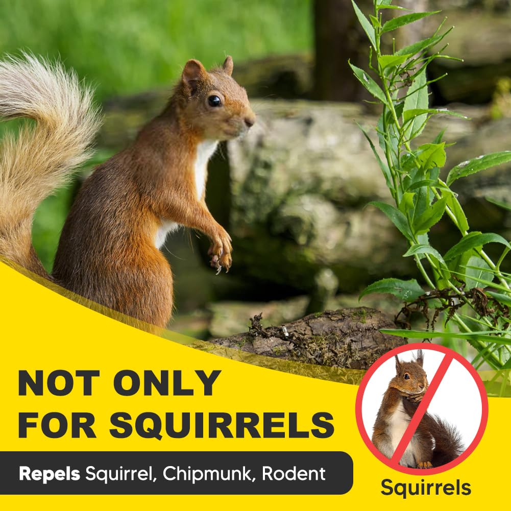 PJCFDOP Squirrel Repellent by bird feeder protects seed from nibblers safely.