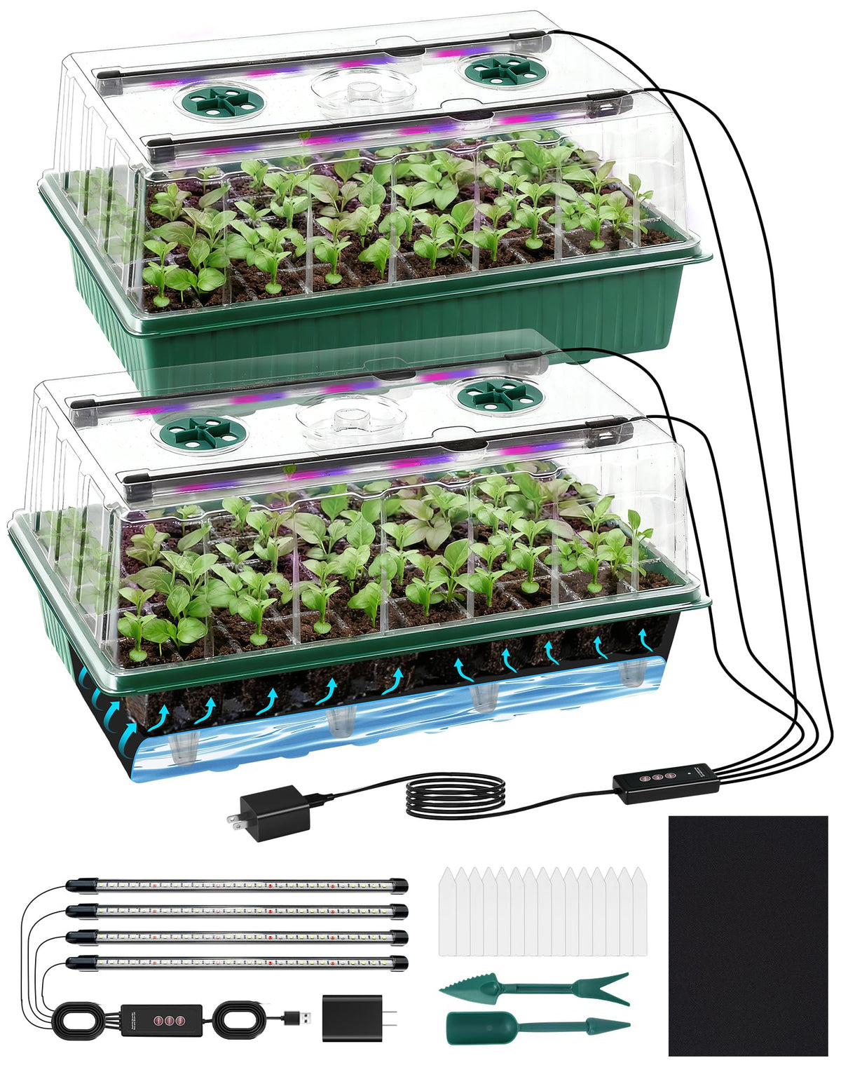 PJT 120-cell seed starter tray with grow light promotes robust germination.