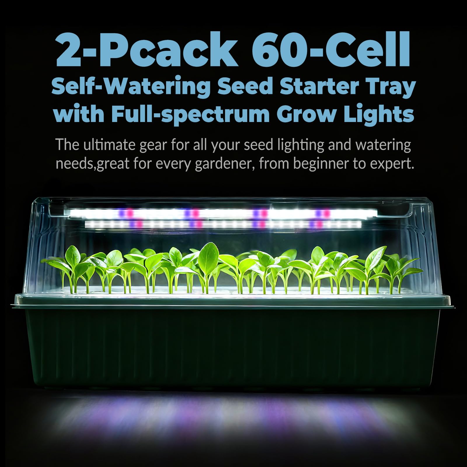 PJT 60-cell seed starter tray keeps seedlings organized for transplant.