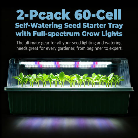 PJT 60-cell seed starter tray keeps seedlings organized for transplant.