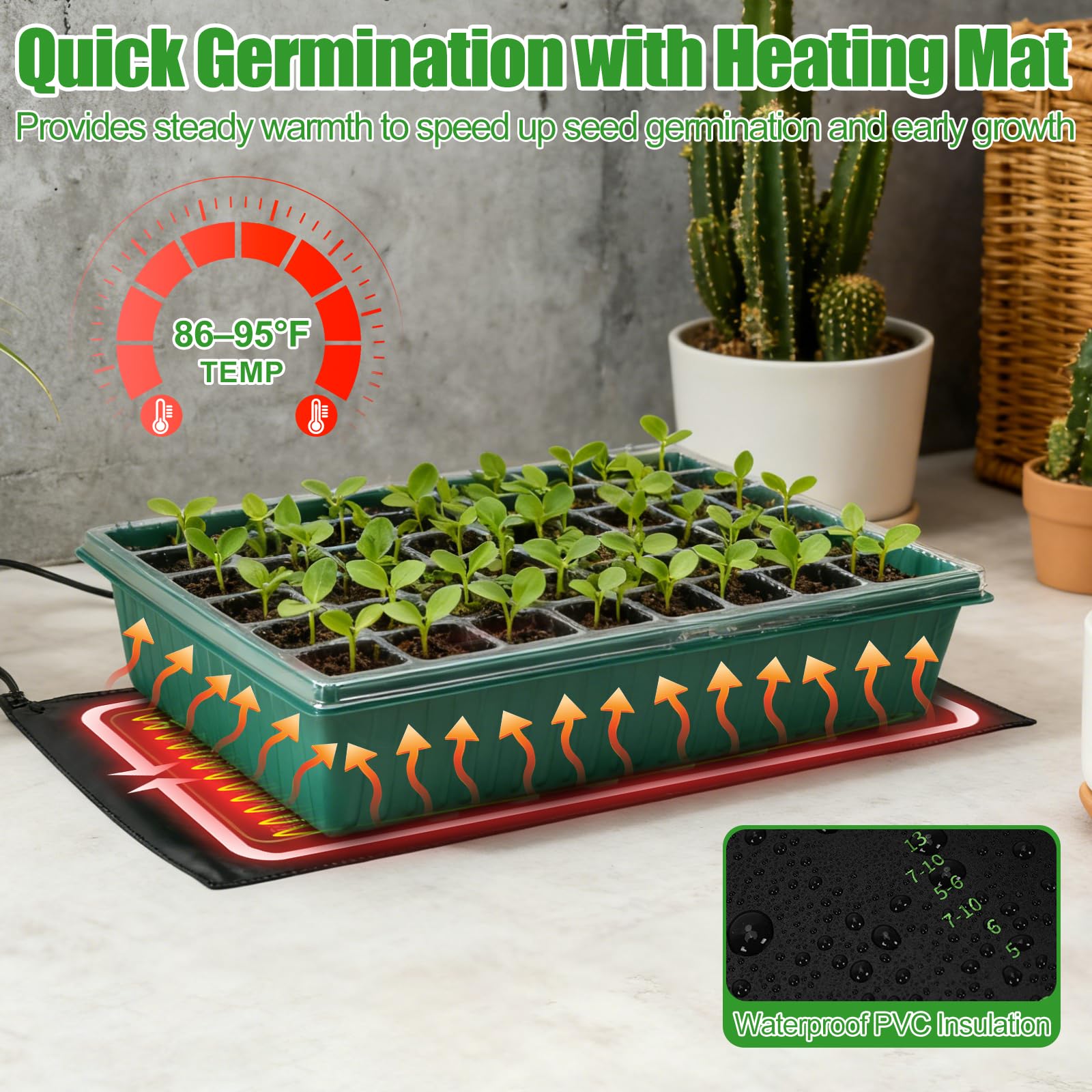 PJT LED grow light provides consistent indoor lighting for steady seed growth.