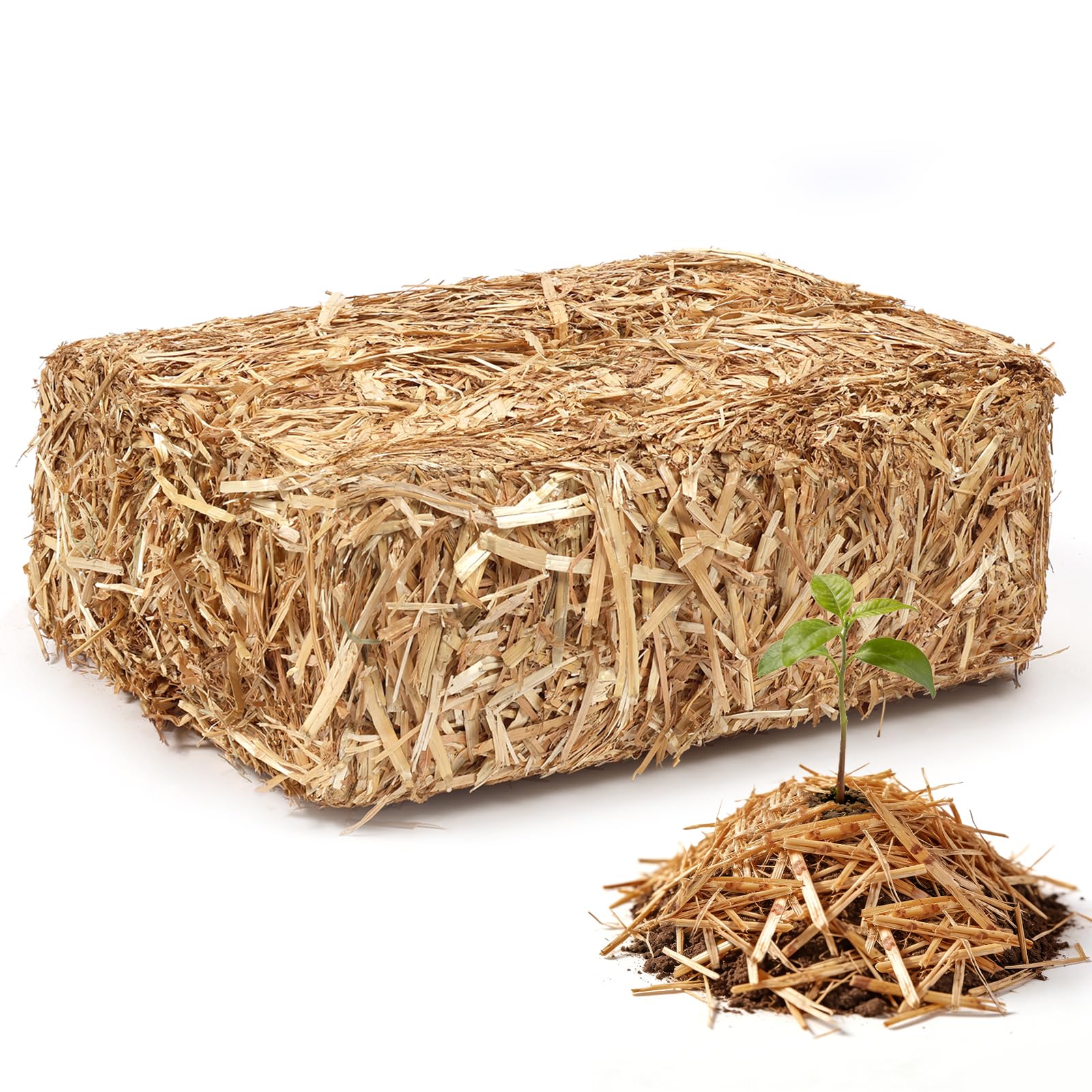 PJT Organic Garden Straw mulch protecting a vegetable bed and soil moisture.