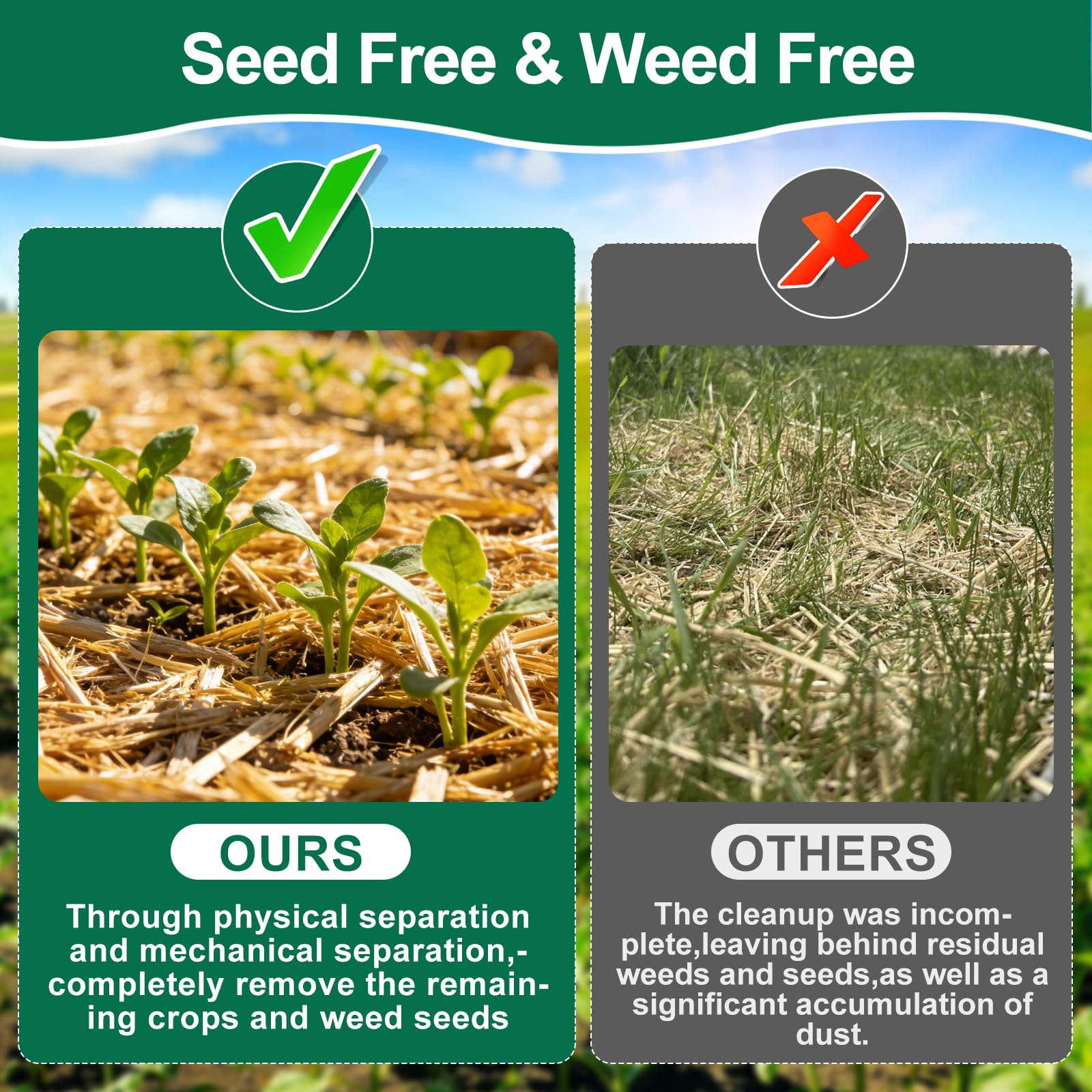 PJT Organic Garden Straw mulch suppressing weeds without chemicals