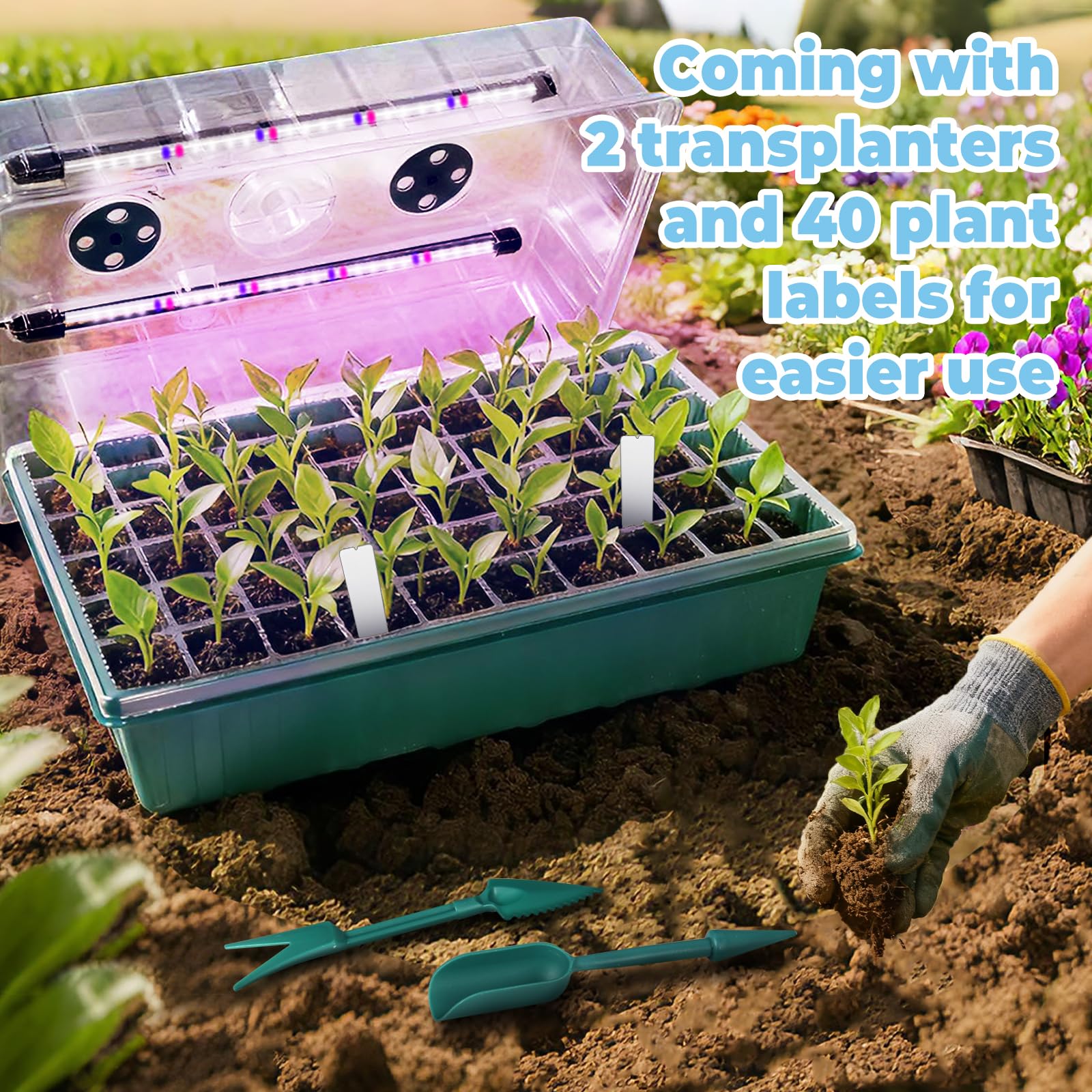 PJT plant labels help track varieties across all trays.