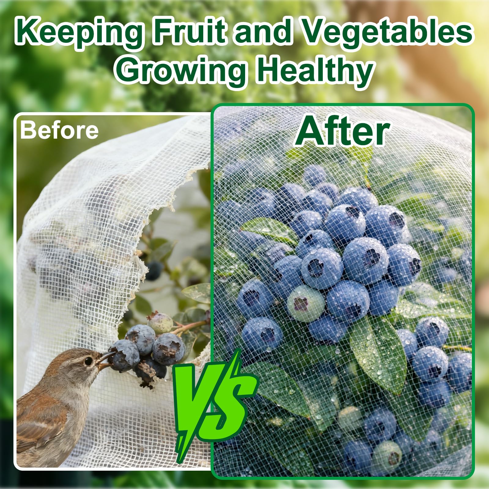 PJT protects blueberries, tomatoes, and strawberries from birds.