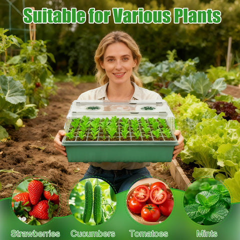 PJT ready seedlings thrive indoors with the kit's optimized conditions.