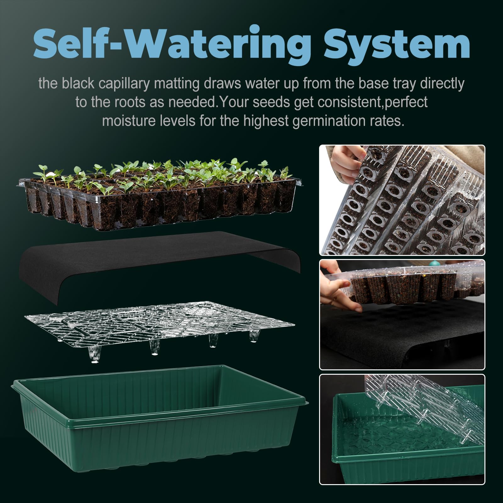 PJT tall humidity dome provides controlled airflow for healthy seedlings.
