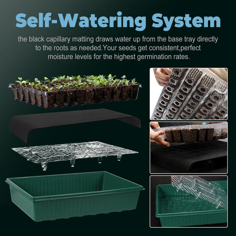 PJT tall humidity dome provides controlled airflow for healthy seedlings.