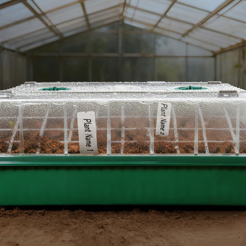 PJT transplant tools lift seedlings safely without damaging roots.
