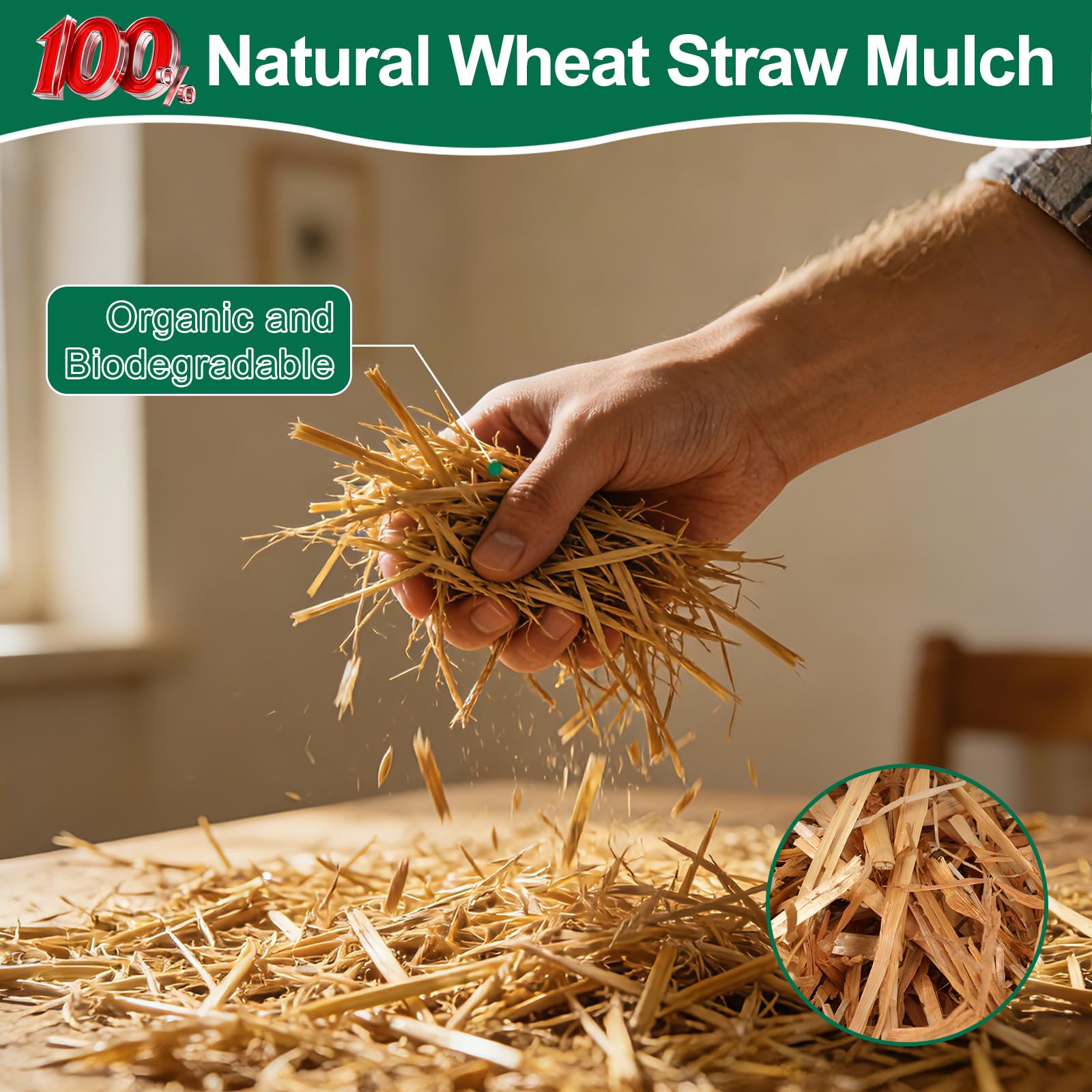PJT Wheat straw mulch over seeds to suppress weeds without chemicals.