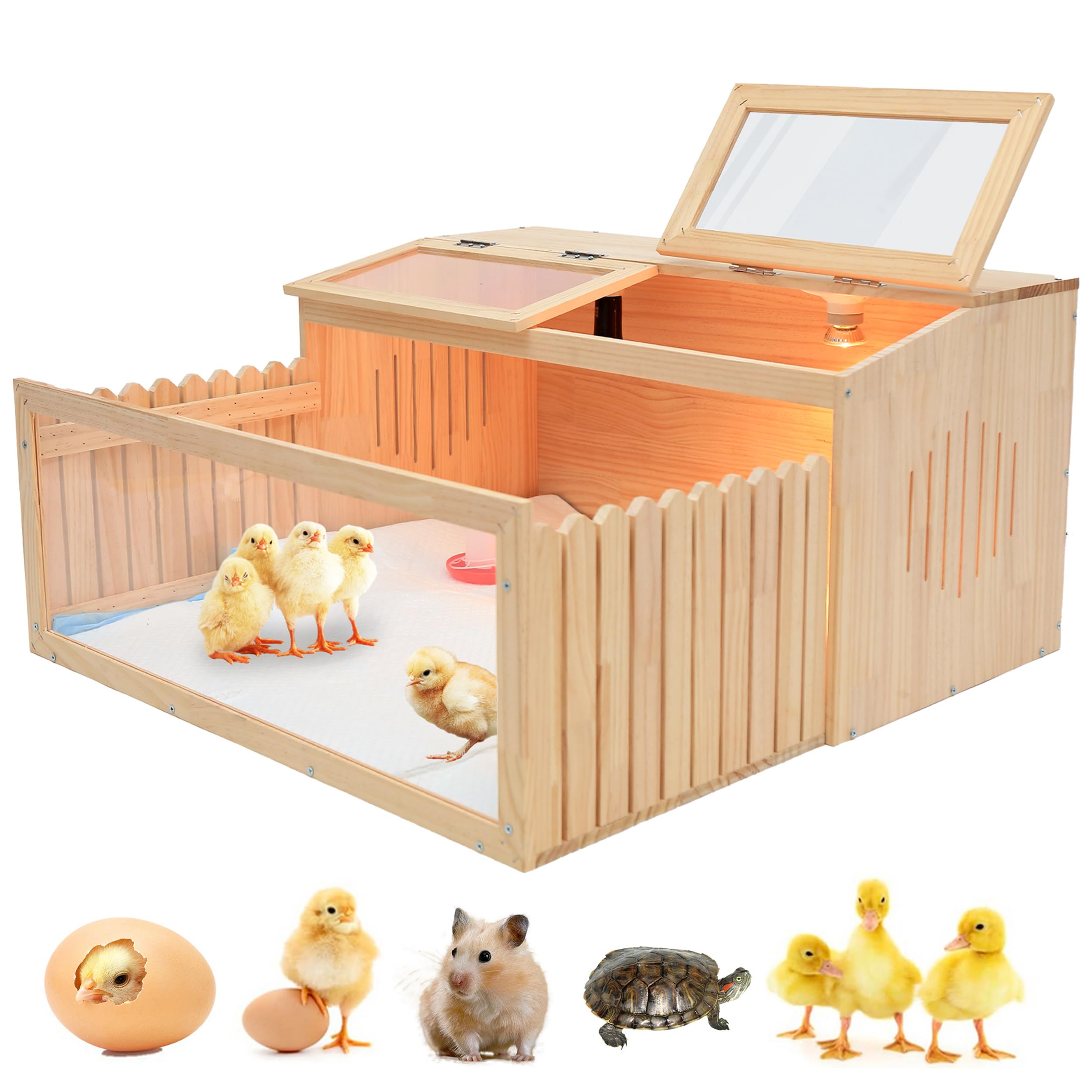 PJYRTOQ complete kit with tray, waterer, lamps, accessories