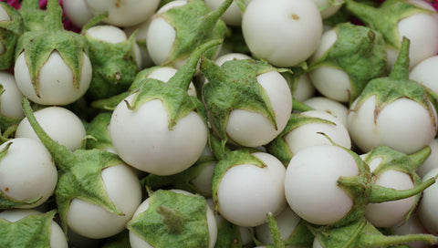 PL Organic Garden Thai White Eggplant Seeds Close-Up for fresh harvest potential.