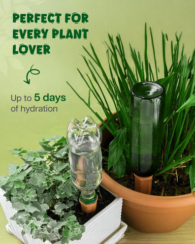 PlanKKers durable terra cotta spikes add natural charm while hydrating soil
