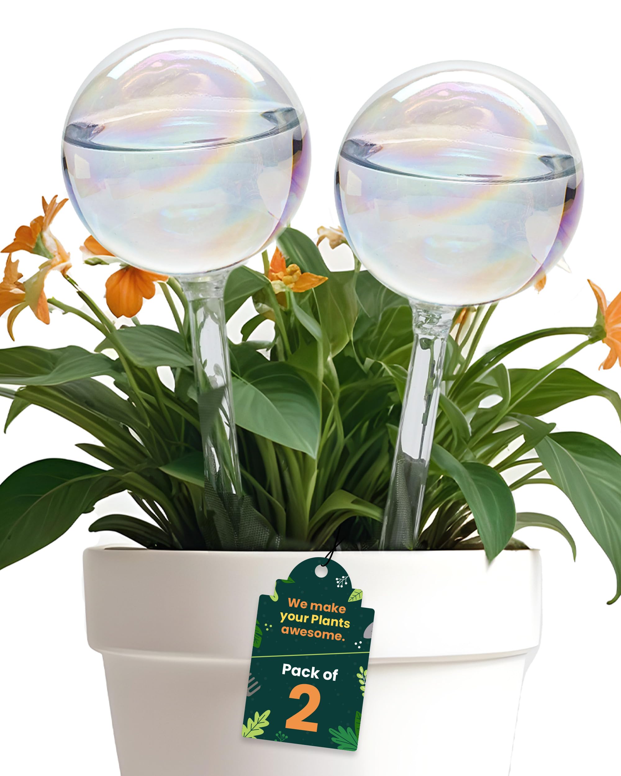 PlanKKers avoid direct sunlight placement tip for long-lasting iridescent watering globes
