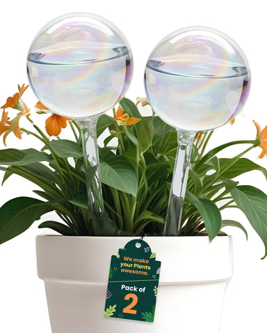 PlanKKers iridescent glass watering globe in action for effortless indoor plant hydration.