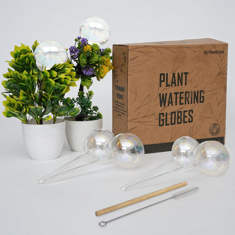 PlanKKers iridescent watering globes provide gentle indoor hydration for plants