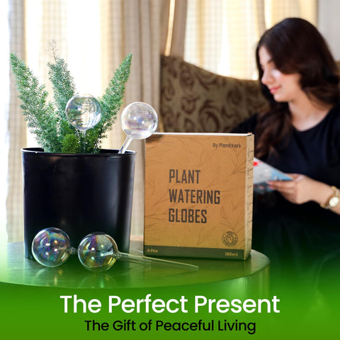 PlanKKers medium 4-pack iridescent globes brighten planters and simplify plant care.