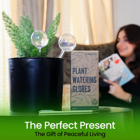 Iridescent globe for indoor plants adds decorative color while watering.