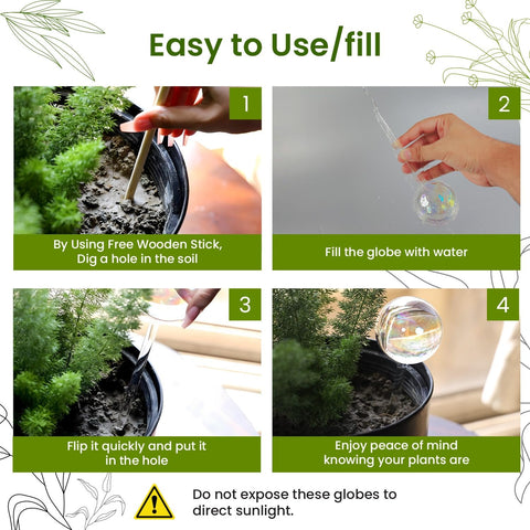 PlanKKers self-watering planter insert ensuring steady moisture for thriving houseplants