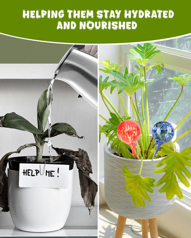 PlanKKers small 6-pcs multi-color globes offer versatile indoor watering options