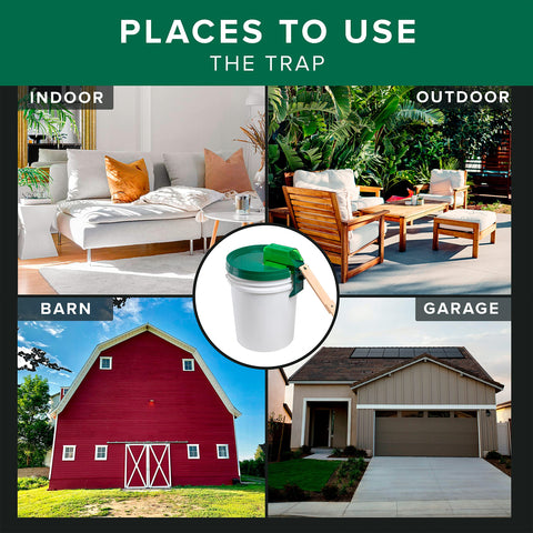 PlankyPro live catch bucket setup enables safe release outdoors.