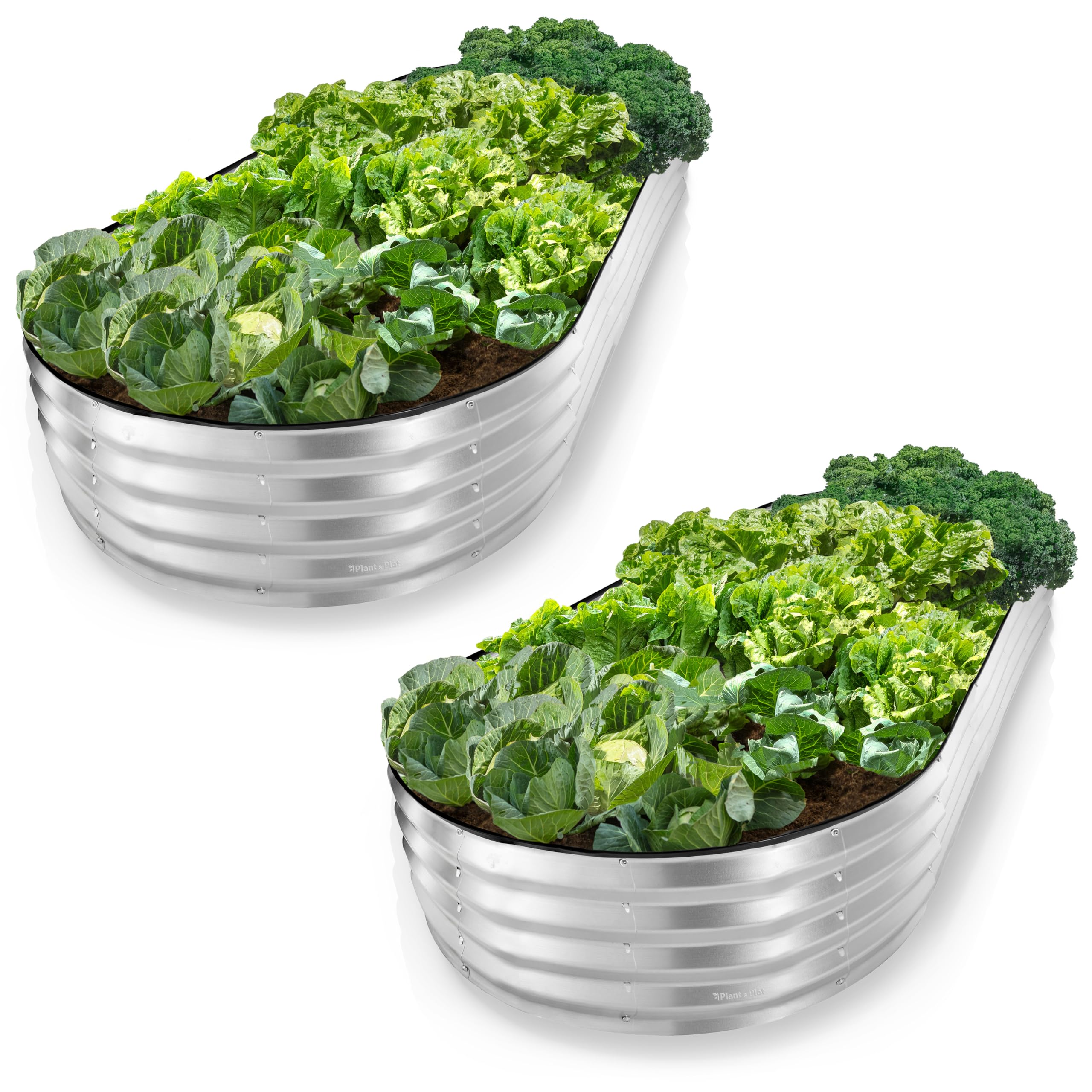 Plant & Plot galvanized raised bed 8x4x1 ft open-base for spacious planting.