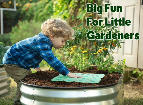 Plant & Plot Beginner-Friendly Spacer aids effortless seed placement