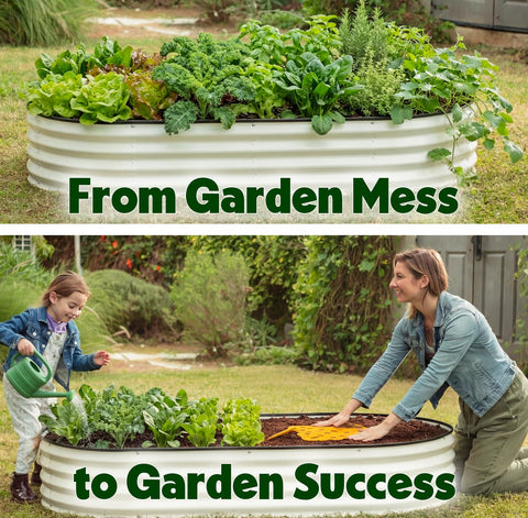 Plant & Plot even-spacing grid makes seedlings easy to identify and care for