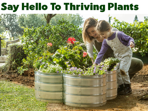 Plant & Plot bed corner detail emphasizes tool-free assembly for quick setup