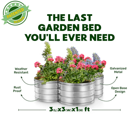 Plant & Plot blooming arrangement with bed showcases easy access to planting and care