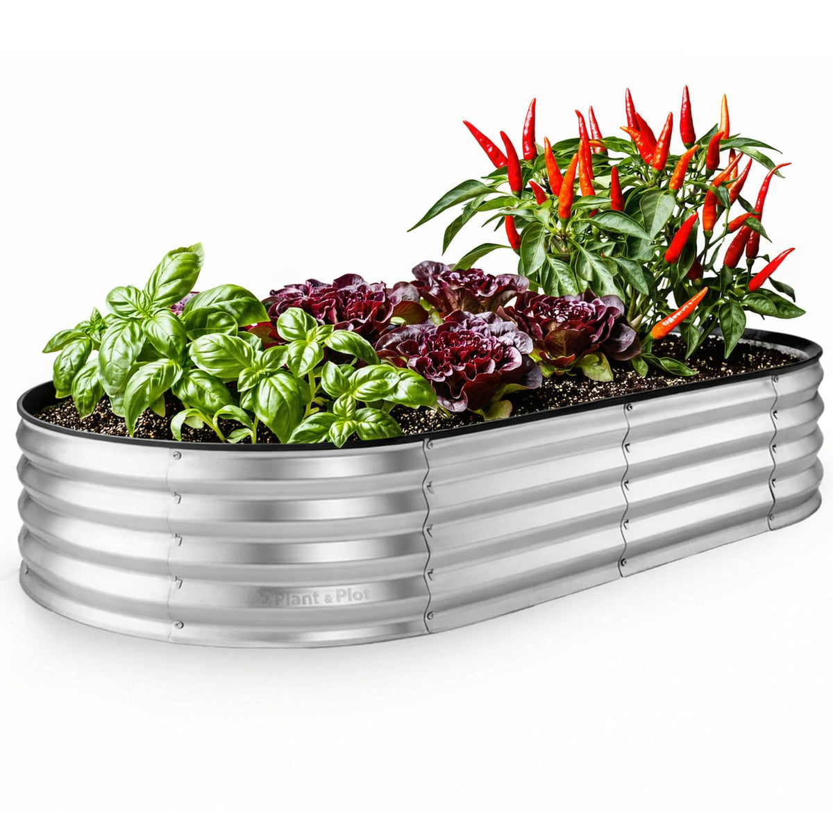 Plant & Plot galvanized raised bed, 6x3x1 ft, front view for spacious vegetable gardening.