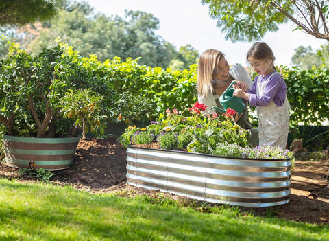 Plant and Plot garden bed placed among herbs and vegetables for fresh harvests.