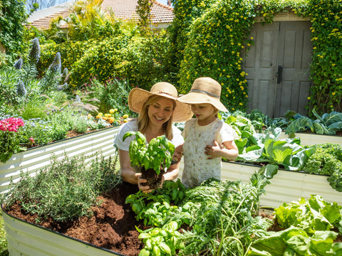 Plant & Plot open-base design emphasizes adaptable garden layout