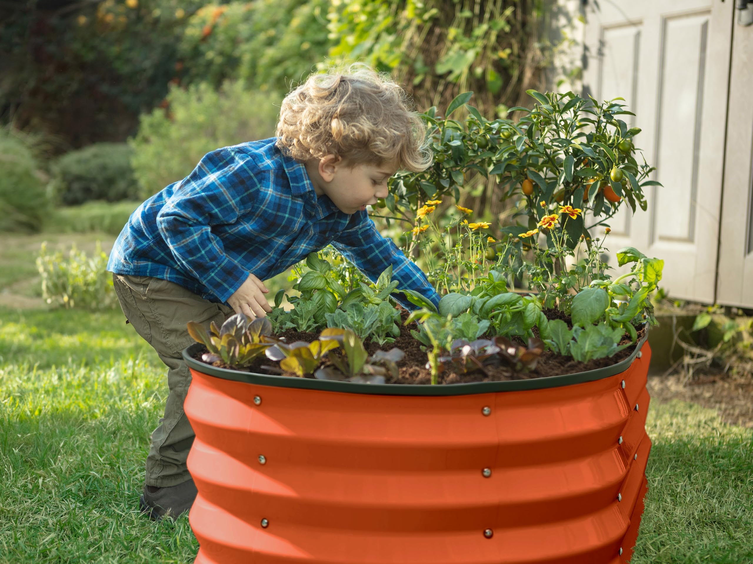 Orange Plant & Plot garden bed placed in a sunny backyard