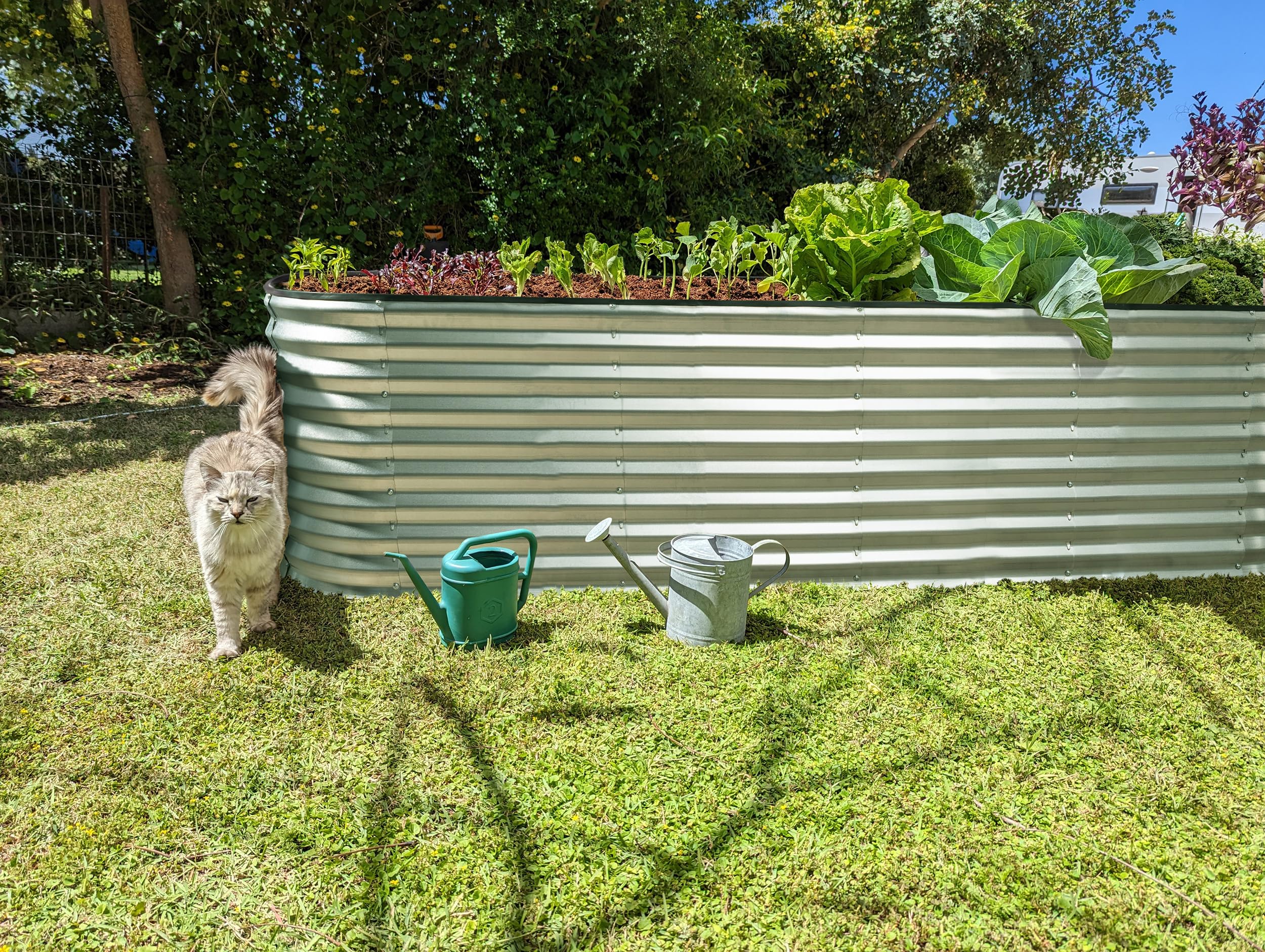 Plant & Plot rust-resistant design withstands seasonal weather