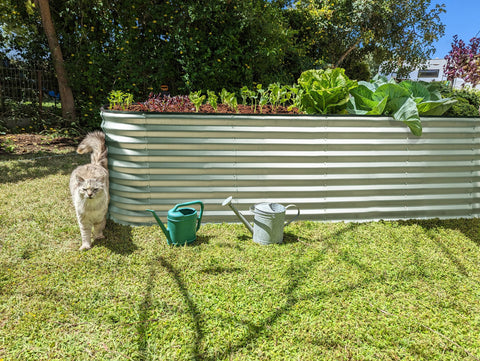 Plant & Plot rust-resistant design withstands seasonal weather