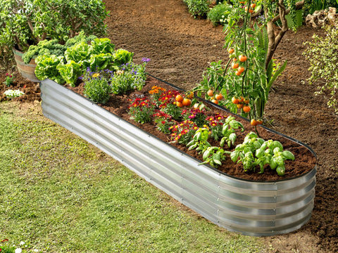 Plant & Plot warranty and community program support long-term gardening