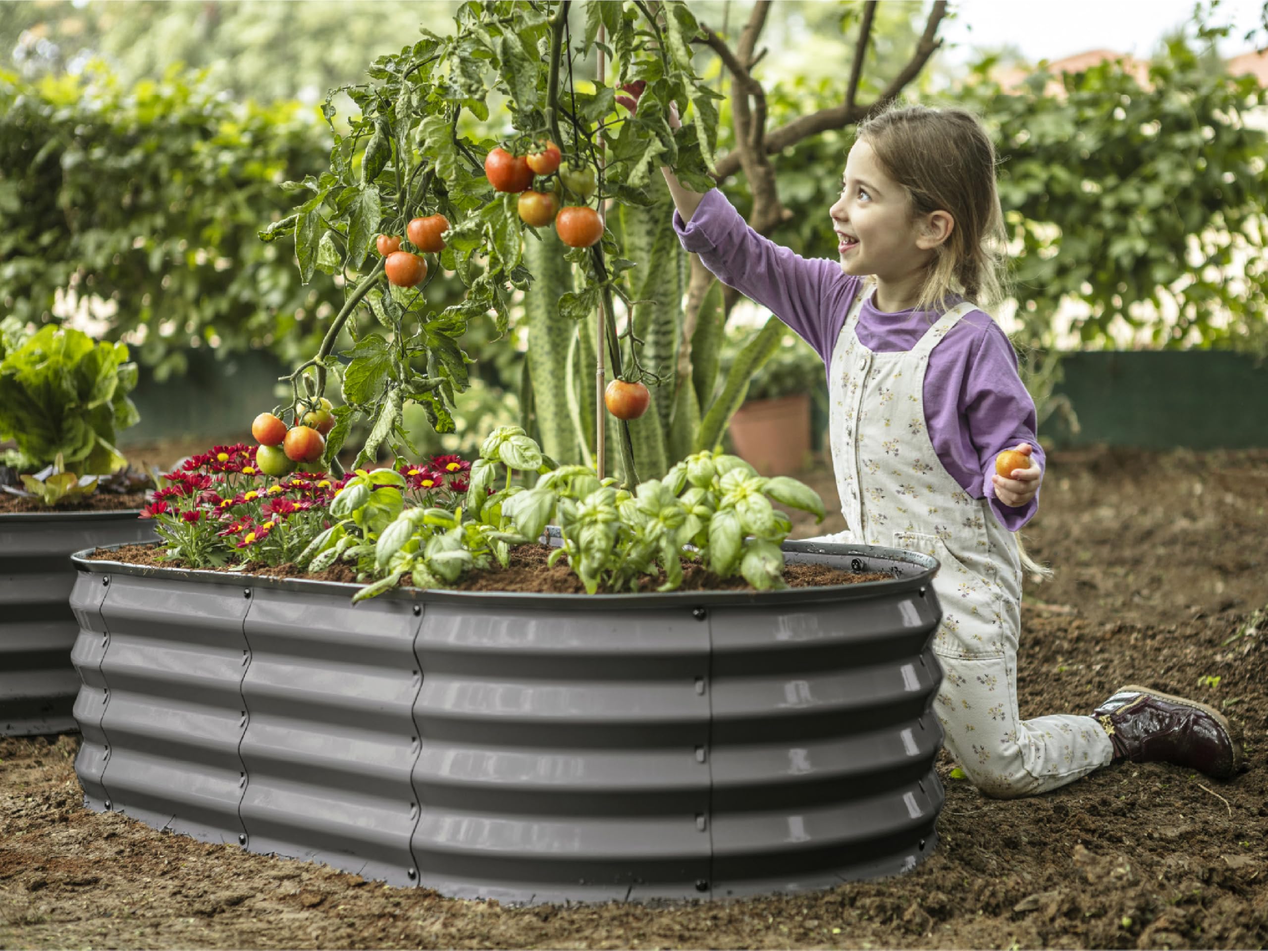 Plant & Plot weather-ready garden bed ideal for vegetables and flowers