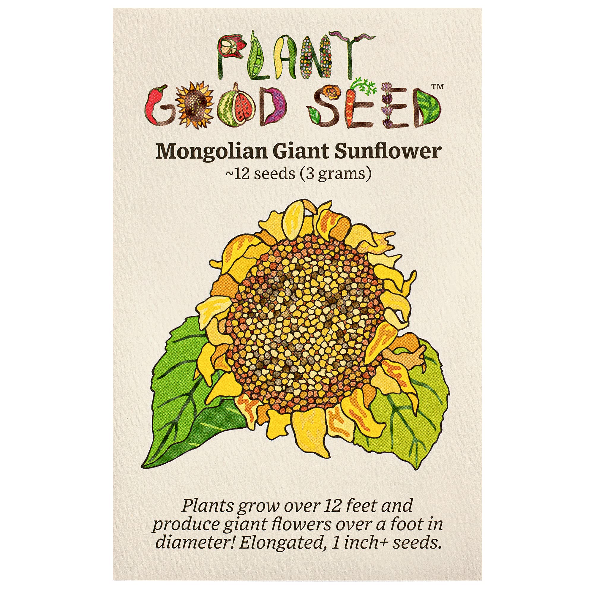 Plant Good Seed Mongolian Giant Sunflower seed packet with massive yellow blooms attracting pollinators.
