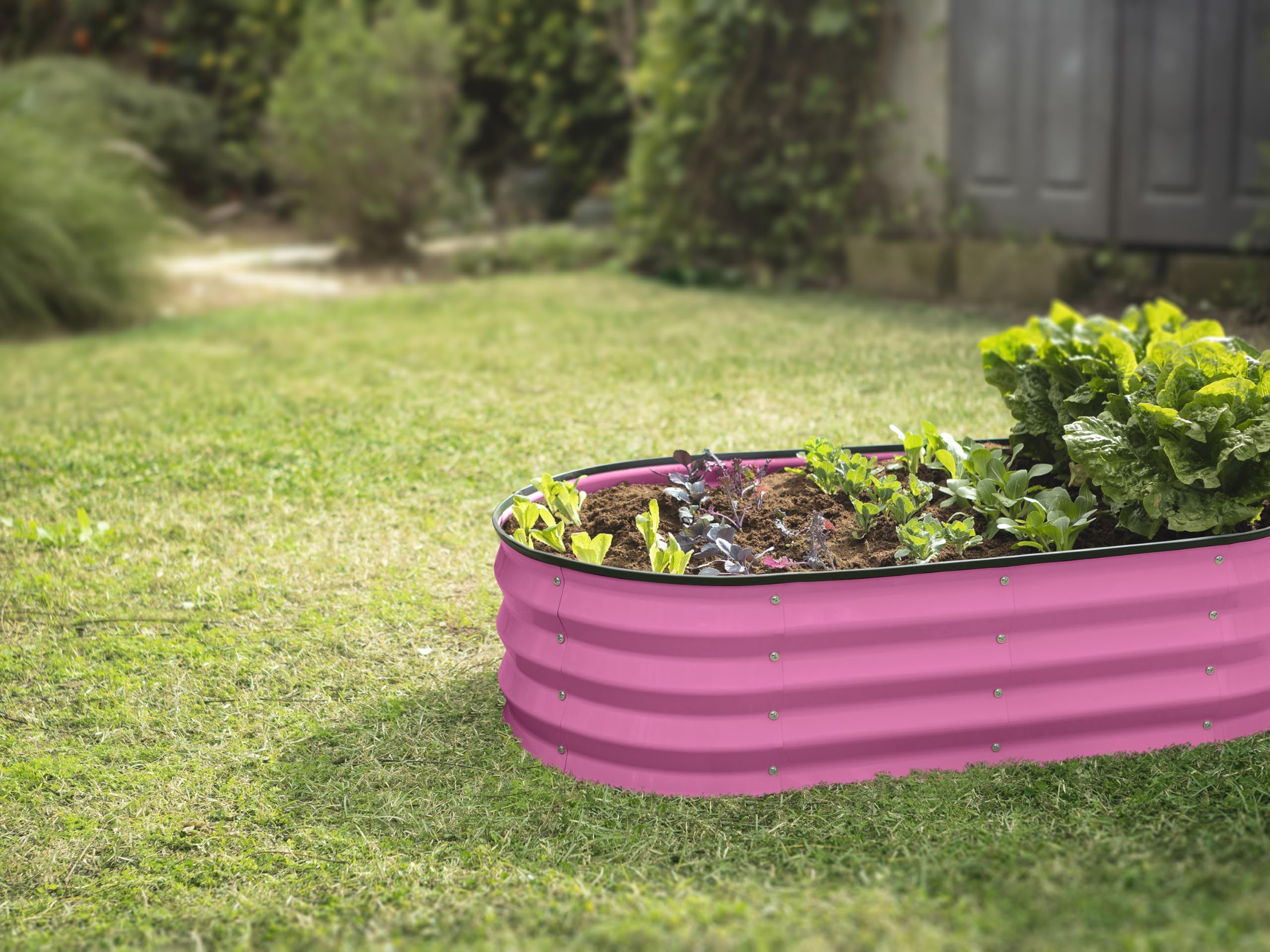 Plant & Plot bed with 3-year warranty for long-lasting use