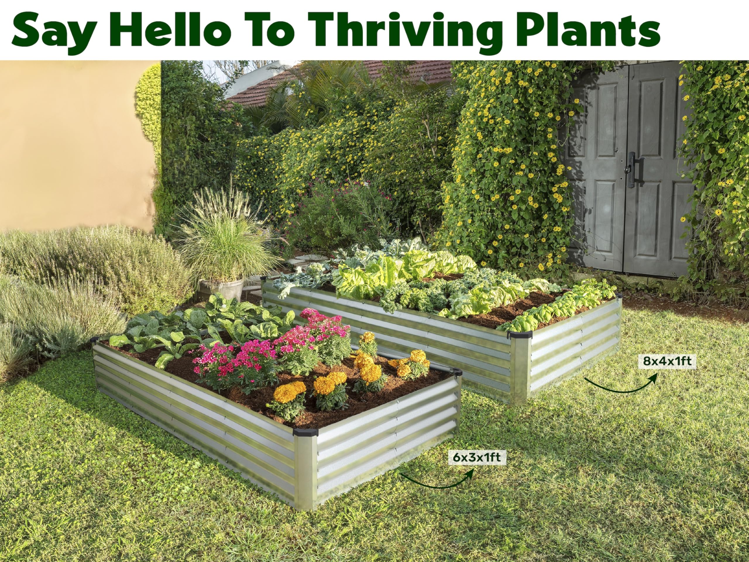 Plant & Plot community initiative garden bed supporting schools